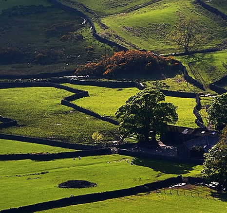 江苏粉象生活拼多多