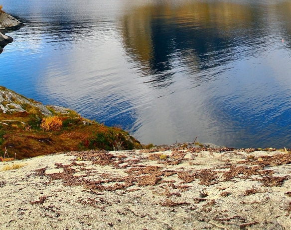 粉象vip是永久的吗