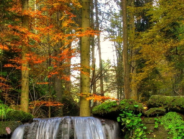 粉象生活怎么开启