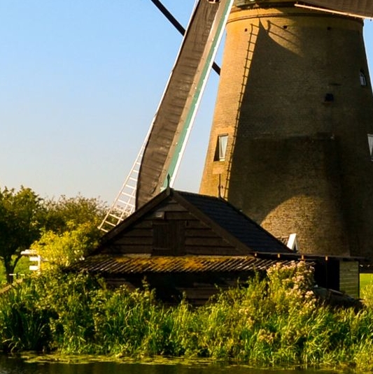 粉象生活日推广50人