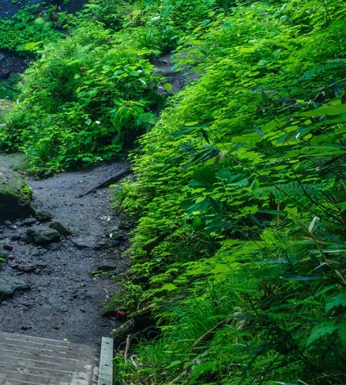 粉象生活里一键发单