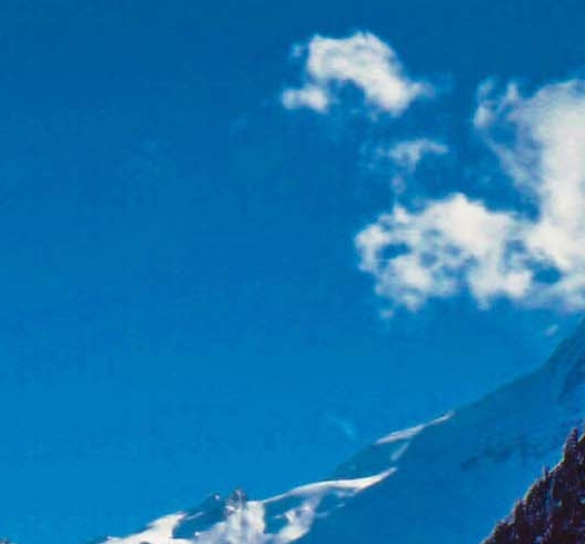 粉象挣钱是真的吗