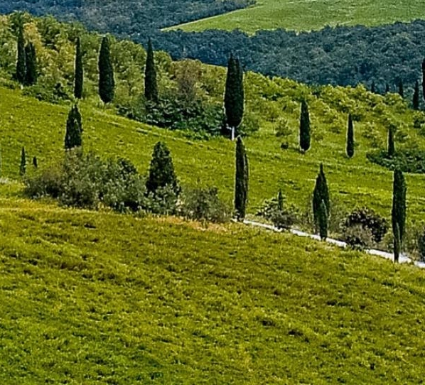 深圳粉象生活能拿几代佣金