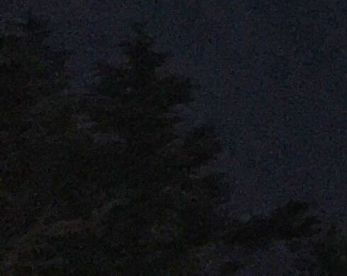 粉象生活邀请码