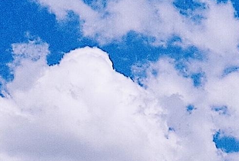 泸州粉象生活推广