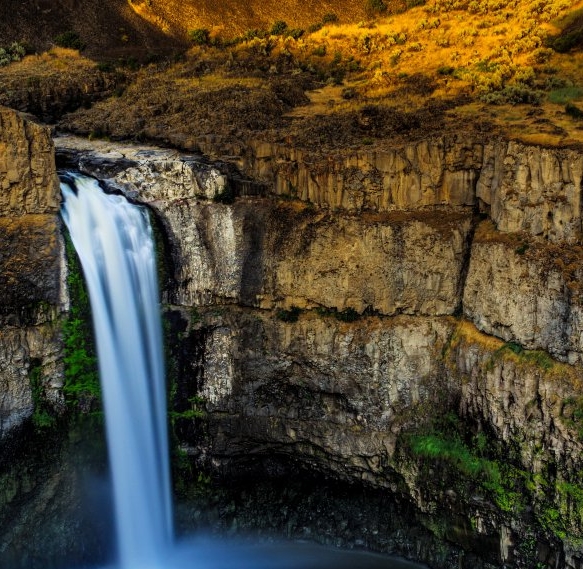 粉象生活里的软件是什么