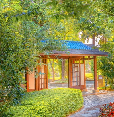 粉象生活发展粉丝