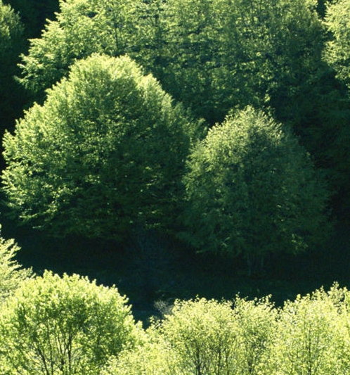 惠州粉象生活怎么样