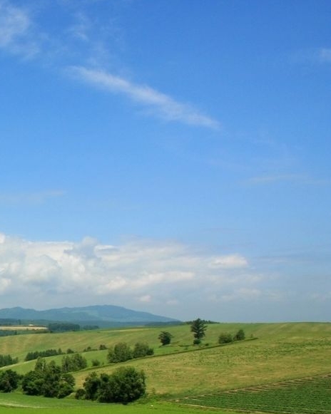 粉象生活升级太难
