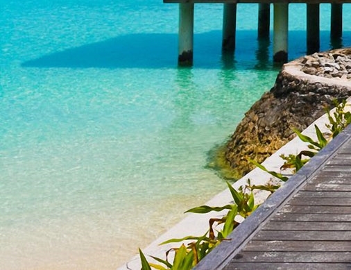 粉象生活在杭州