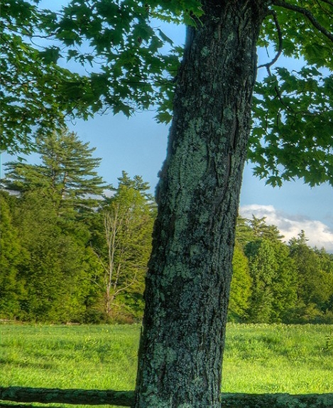 粉象生活可以赚钱吗