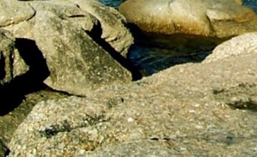 粉象生活是否正规