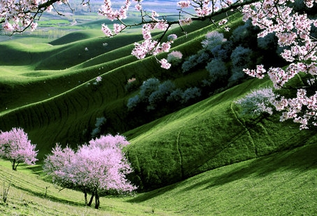 浙江制造品质生活