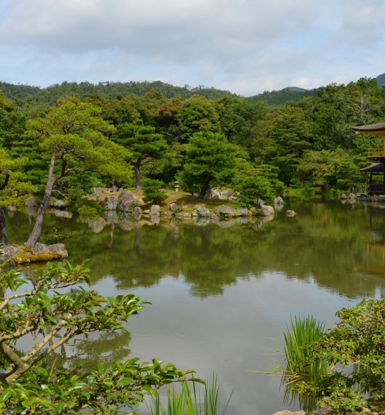 粉象生活下载app