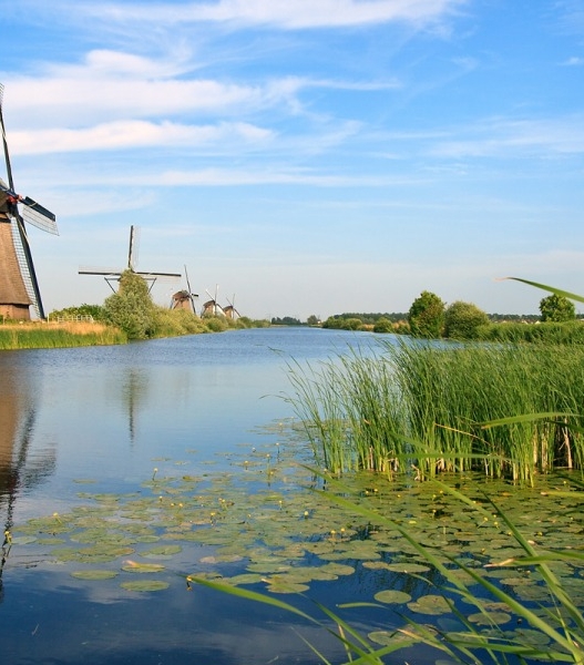 旅游粉象生活卡