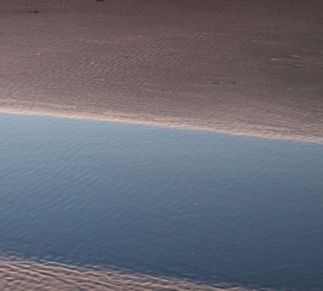 一站式粉象生活网站