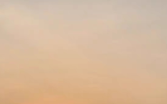 粉象生活合法吗