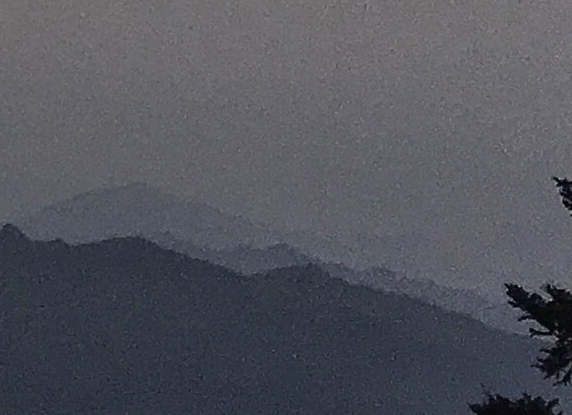 粉象生活邀请码