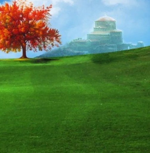 丽江粉象生活vip