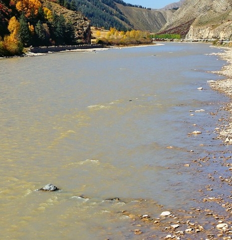 粉象生活改变视频
