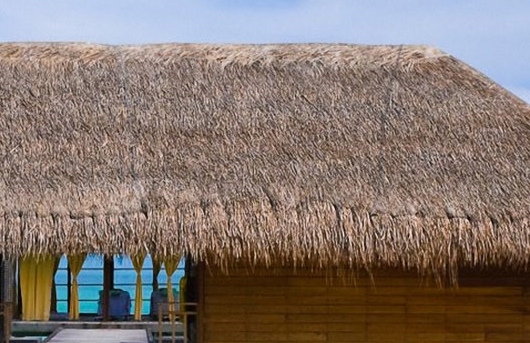 粉象生活怎样卖货