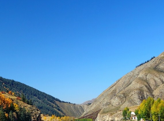 粉象生活怎样推广