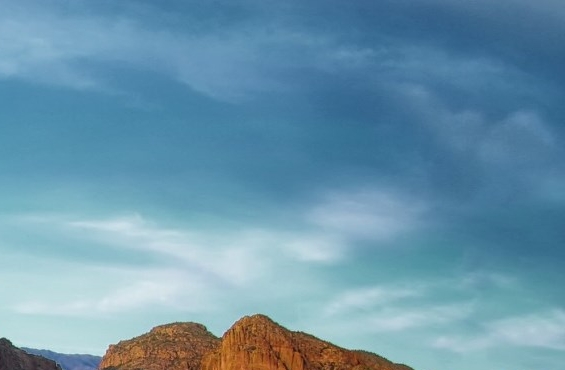 粉象生活还能走多久