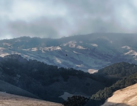 粉象生活的副业