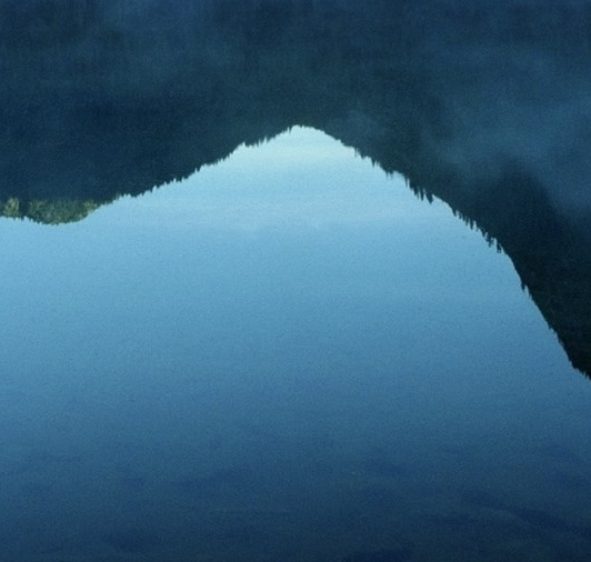 广州粉象生活科技有限公司