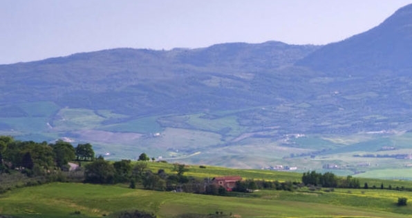 粉象生活的层级