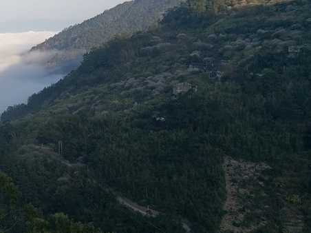 粉象生活能不能分享到微信