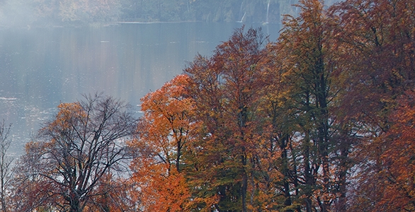 粉象生活蔬菜保鲜技巧