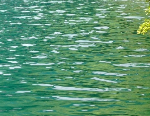 粉象生活招募指导