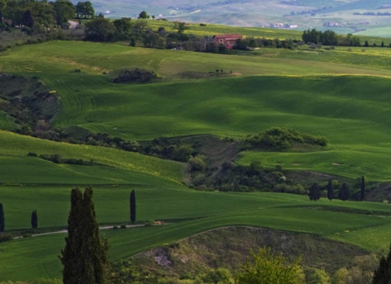 粉象生活是个什么东西
