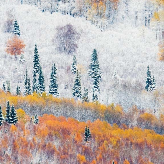 山东正规粉象生活怎么样