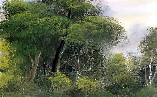 和粉象生活类似的软件