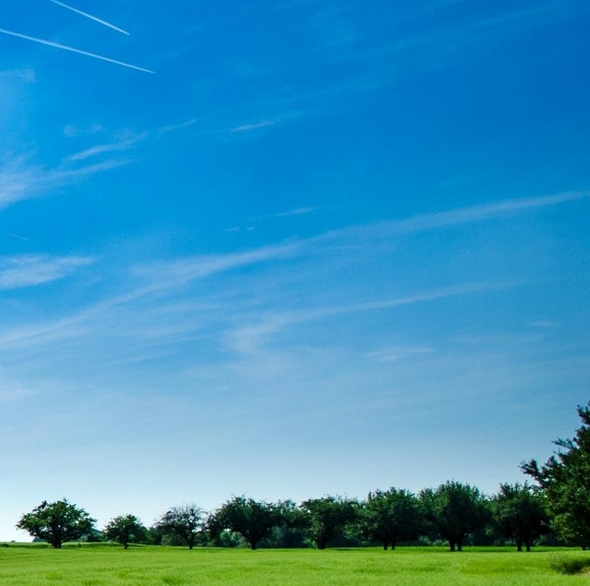 粉象生活赚钱教程