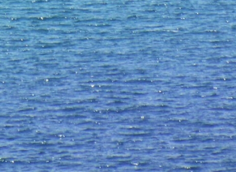 淘宝商家如何入驻粉象