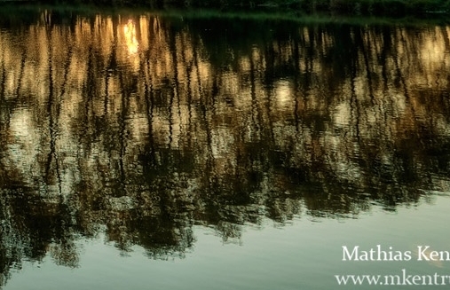 粉象生活兼职收入