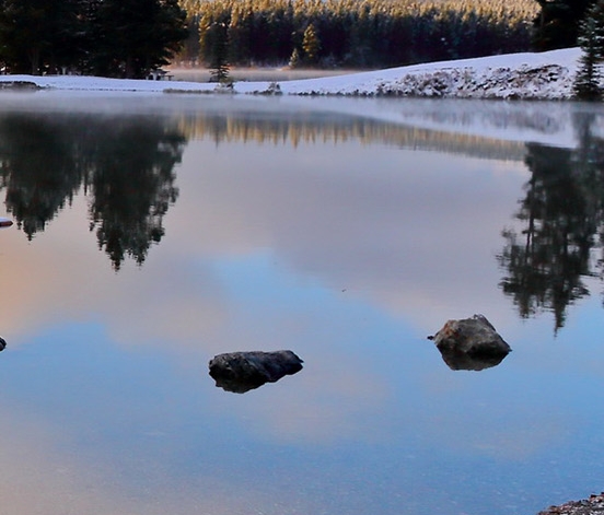 粉象生活高佣联盟好省对比