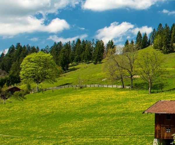 中国人怎么去新西兰生活