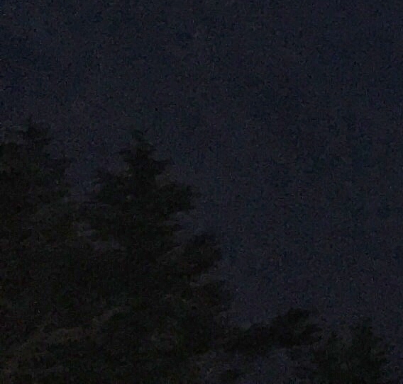 粉象生活怎么赚钱的