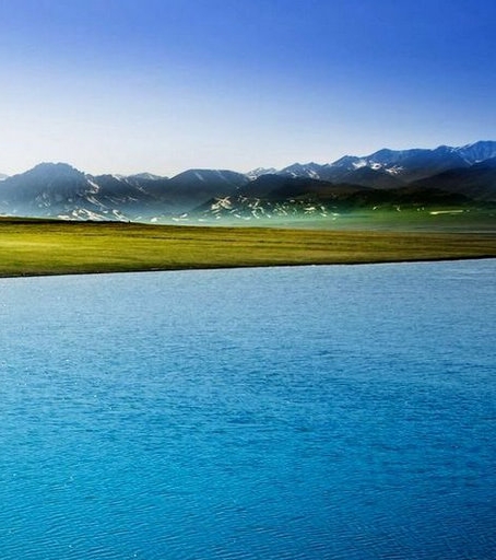 官方粉象生活代理