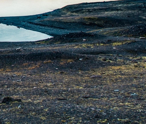 粉象生活下载app