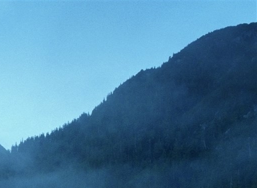 粉象生活免费获取