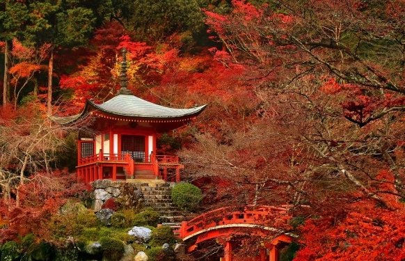 河南钛白粉厂家