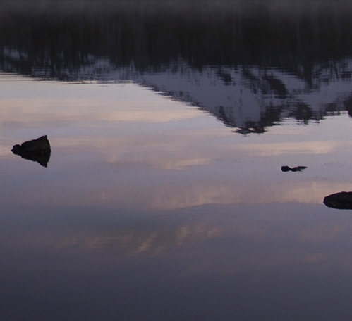 粉象生活购物方式