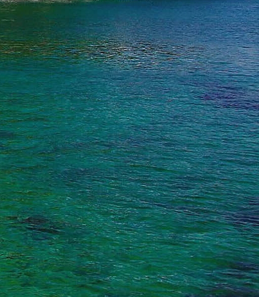 粉象生活怎么赚钱的