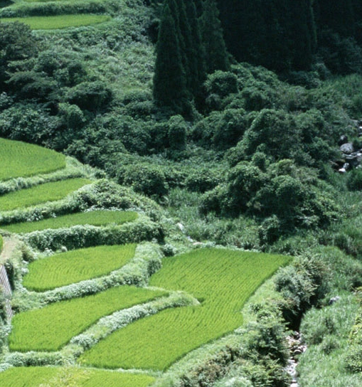 头条粉象生活怎么赚钱