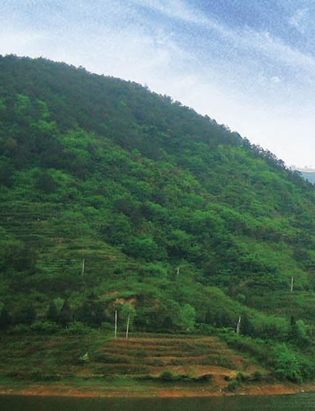 盘锦粉丝生活加盟